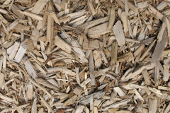 biomass boilers Woodvale